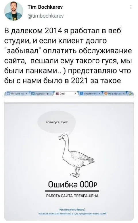 Гусь за неоплату сайта