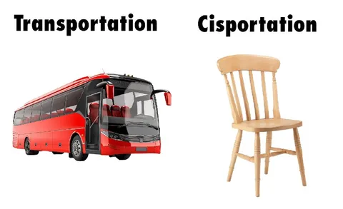 Transportation vs Cisportation
