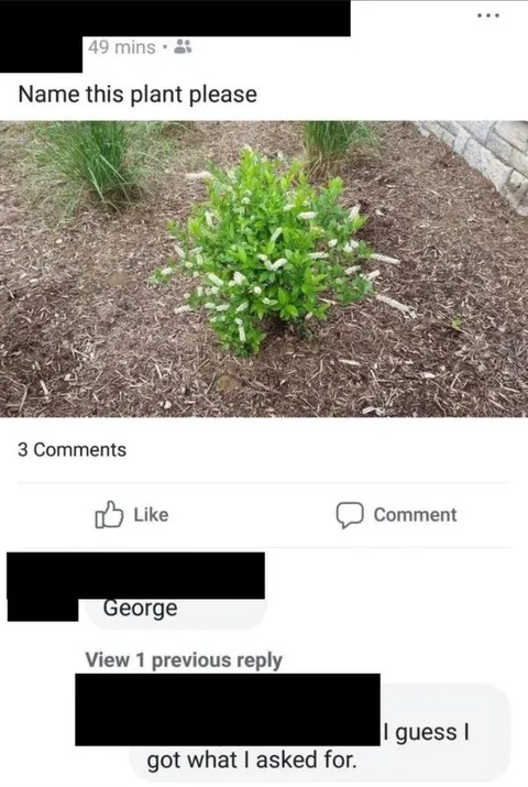 Name This Plant Please