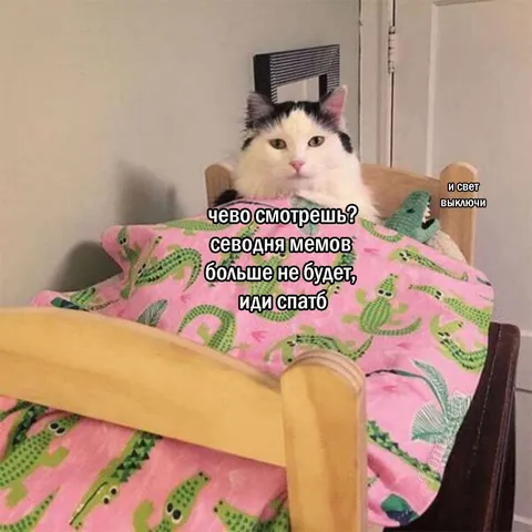 Кот отправляет спать