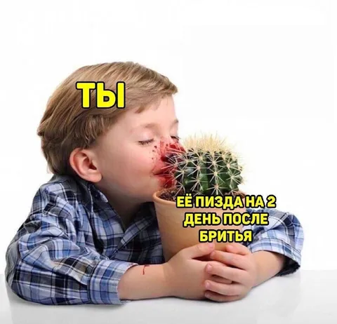 Ты и её пизда после бритья
