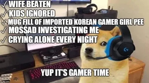 Doge Gamer Time Checklist