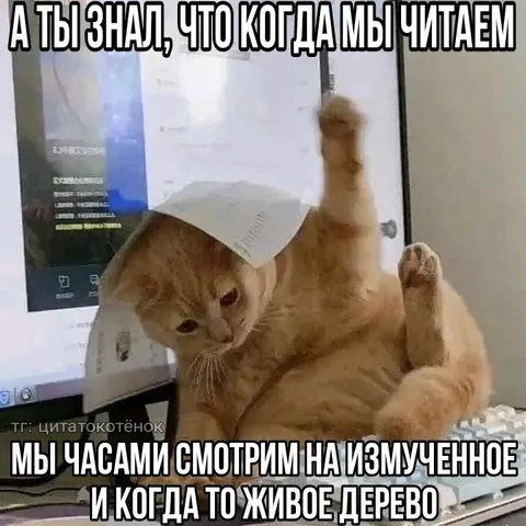 Кот читает о живом дереве