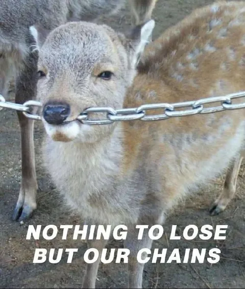 Nothing to Lose but Our Chains