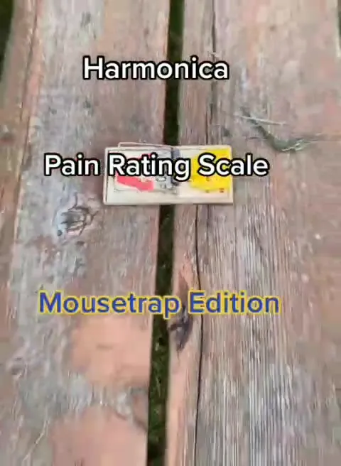 Mousetrap Pain Rating Scale
