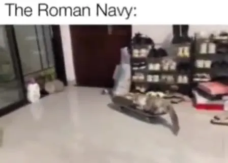 The Roman Nany Skateboard Cats