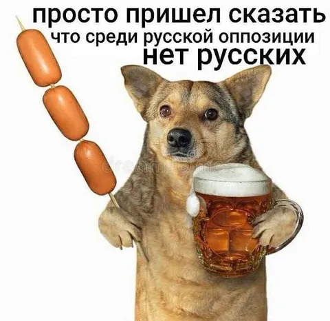 Русский пёс пришёл сказать
