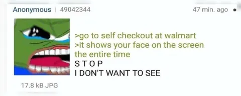 Walmart Self-Checkout Sees Everything