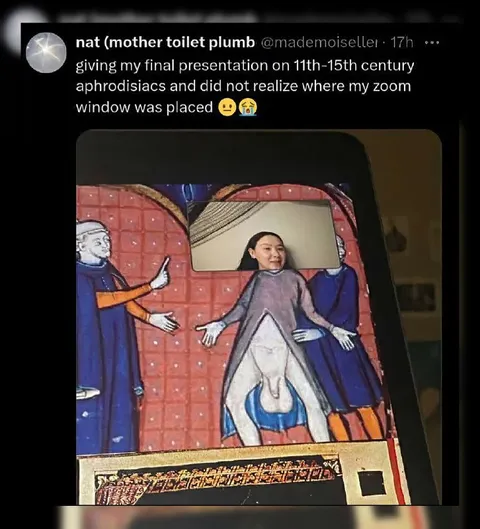 Accidental Zoom Window Presentation