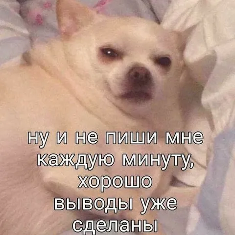Не пиши мне каждую минуту
