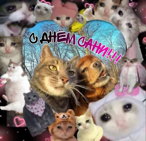 С днём Сани котики