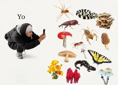 Yo, Nature Is Calling