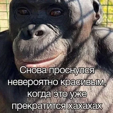 Снова проснулся красивым