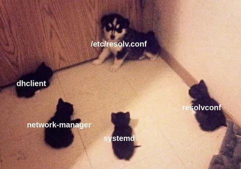 Linux Config Cats Standoff