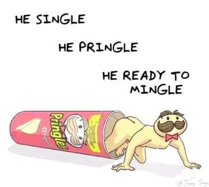He Single He Pringle