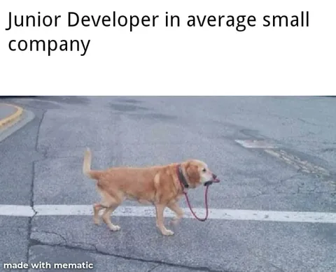 Junior Developer Walks the Dog