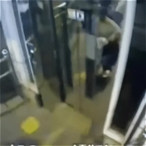 Собака застряла в двери