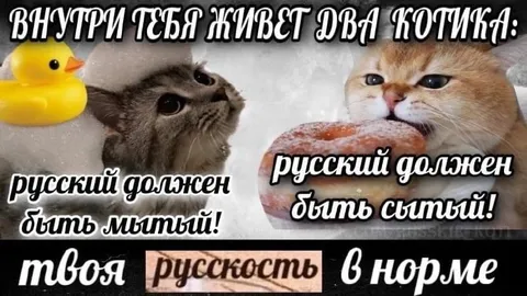 Внутри тебя живут два котика