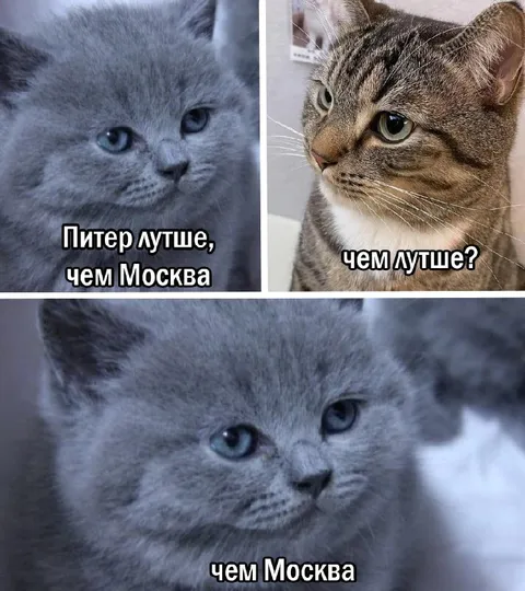 Питер лучше, чем Москва