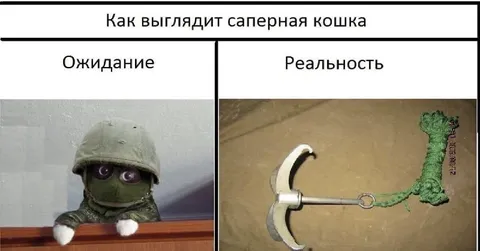 Как выглядит саперная кошка
