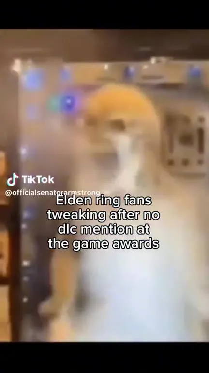 Elden Ring Fans Tweaking