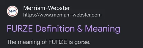 FURZE Definition and Meaning