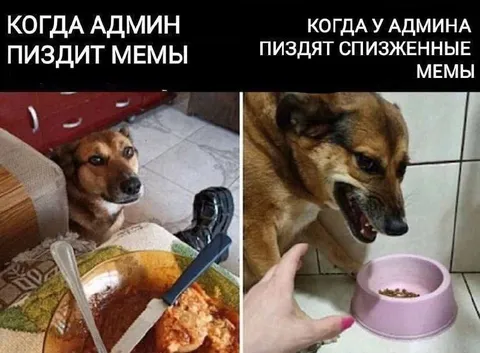 Когда админ увидел мемы