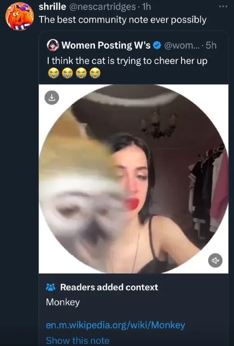 Cat Tries to Cheer Her Up