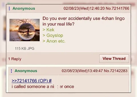 Accidentally Using 4chan Lingo