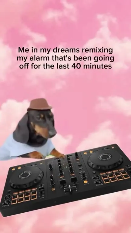 Dog Remixes the Alarm in Dreams