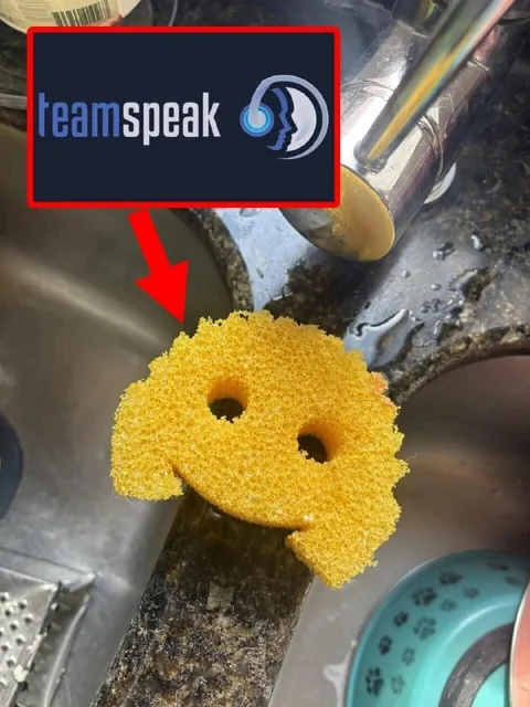 TeamSpeak Sponge Smile