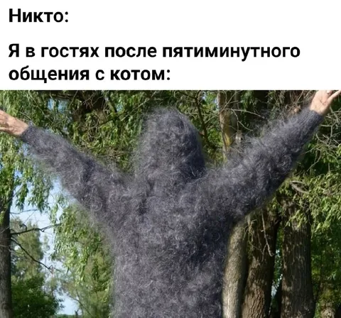 После пяти минут общения