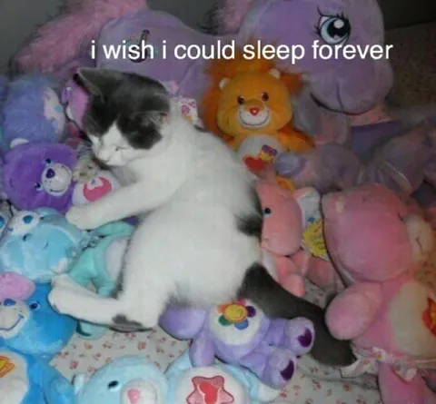 I Wish I Could Sleep Forever