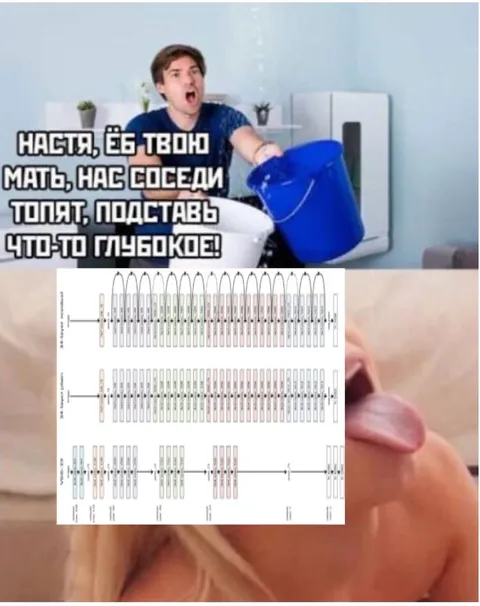 Нас соседи топят