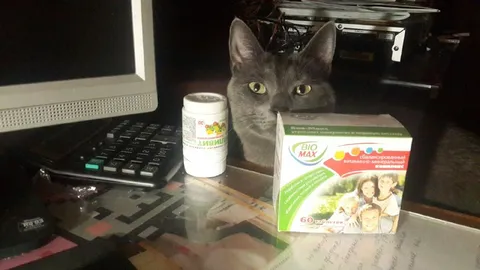 Кот среди витаминов