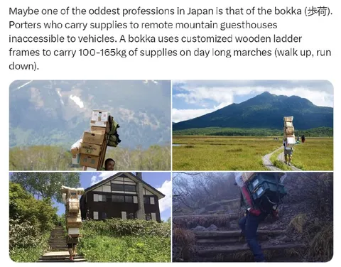 Japan's Oddest Profession