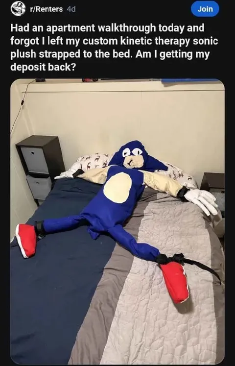 Forgotten Sonic Plush at Apartment Viewing