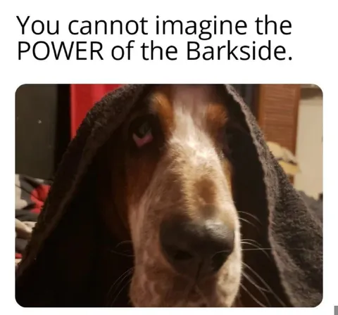 The Power of the Barkside