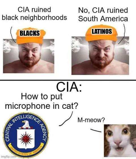 CIA Puts Microphone in Cat
