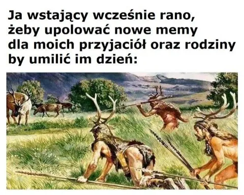 Polowanie na nowe memy