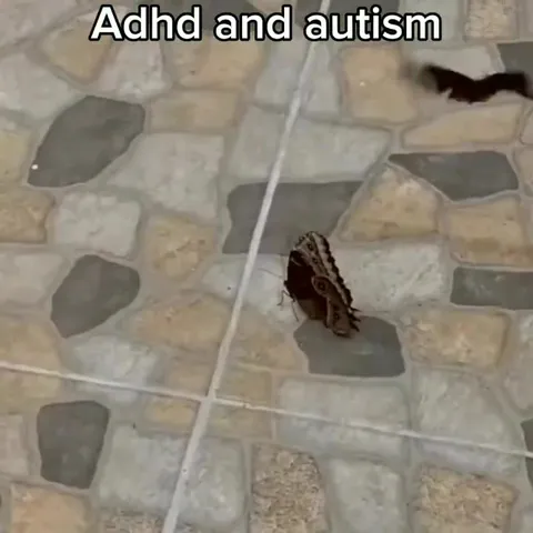 ADHD and Autism Butterflies