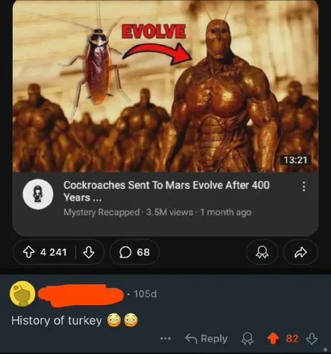 Cockroach Evolves Into Turkish History