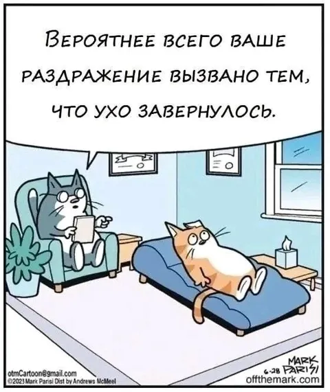 Раздражение из-за завернувшегося уха