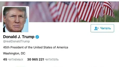 Donald Trump Twitter Profile