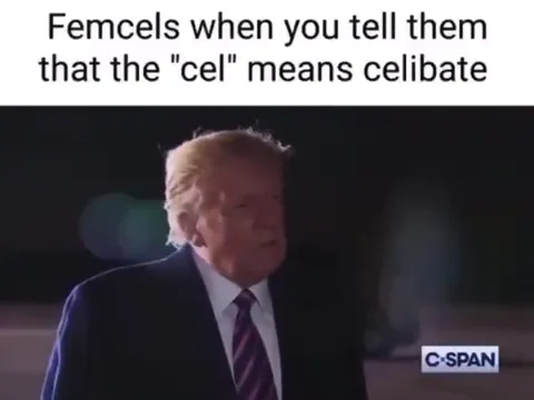 Femcels Learn What Celibate Means