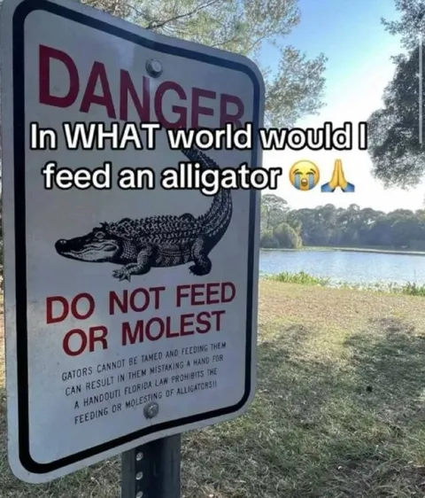 Why Feed an Alligator?