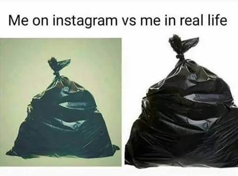 Instagram vs Real Life Trash Bag
