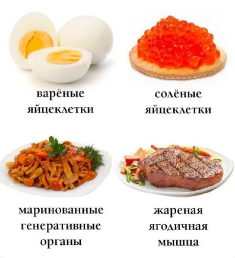 Яйцеклетки и ягодичная мышца