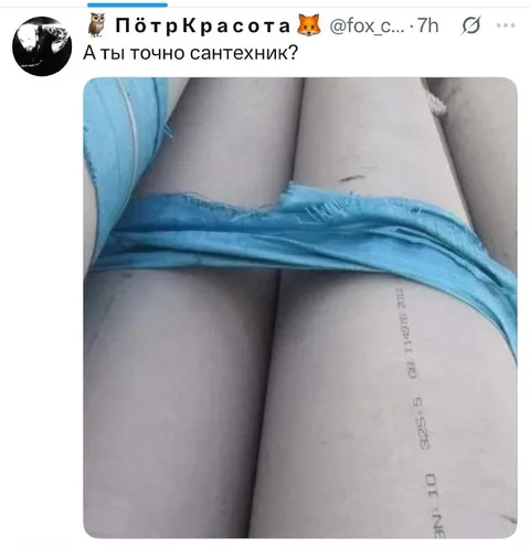 А ты точно сантехник?