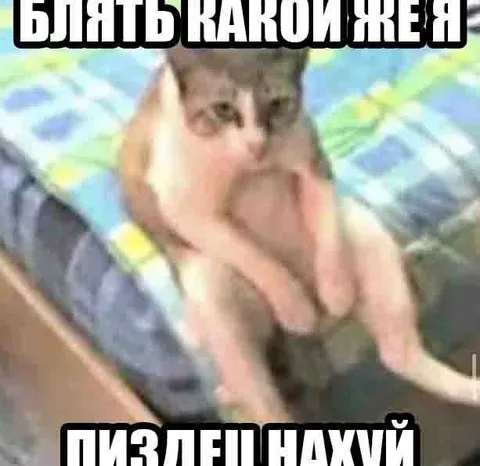 Блять какой же я пиздец